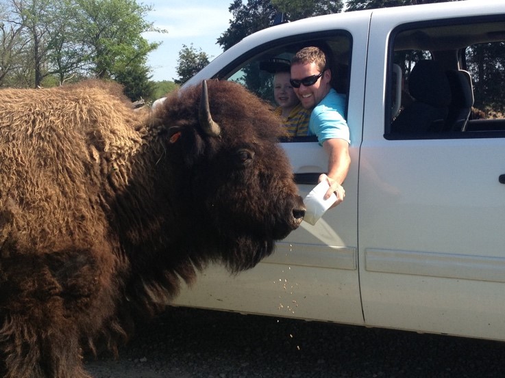 Summer Fun in Tennessee! - TNAAP